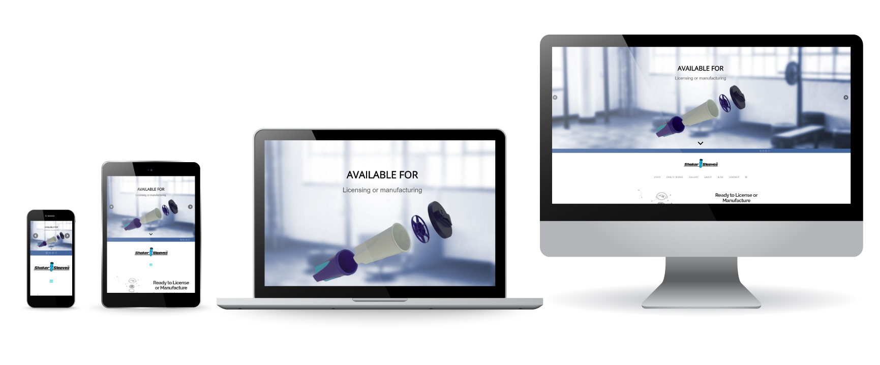 Professional Website