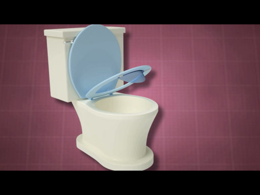 Toilet Seat Urination Guard