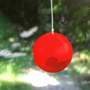 Hanging Toy Ball for Dogs