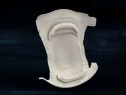Diaper With Bowel Pocket