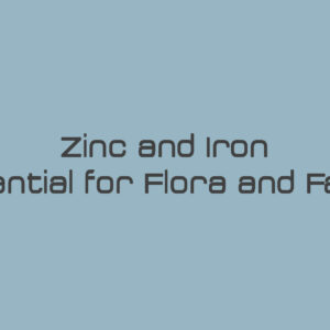 Zinc and Iron – Essential for Flora and Fauna